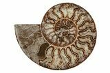 8.1" Agatized, Cut & Polished Ammonite Fossil - Madagasar - #191369-2
